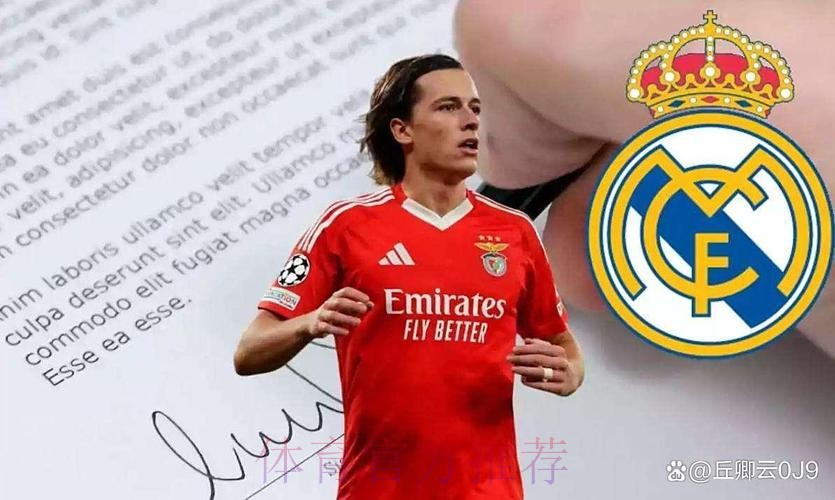 西媒:皇马处于签下戴维斯最后阶段 愿满足拜仁要价 西媒:皇马处于签下戴维斯最后阶段 愿满足拜仁要价